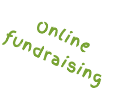 Online  fundraising
